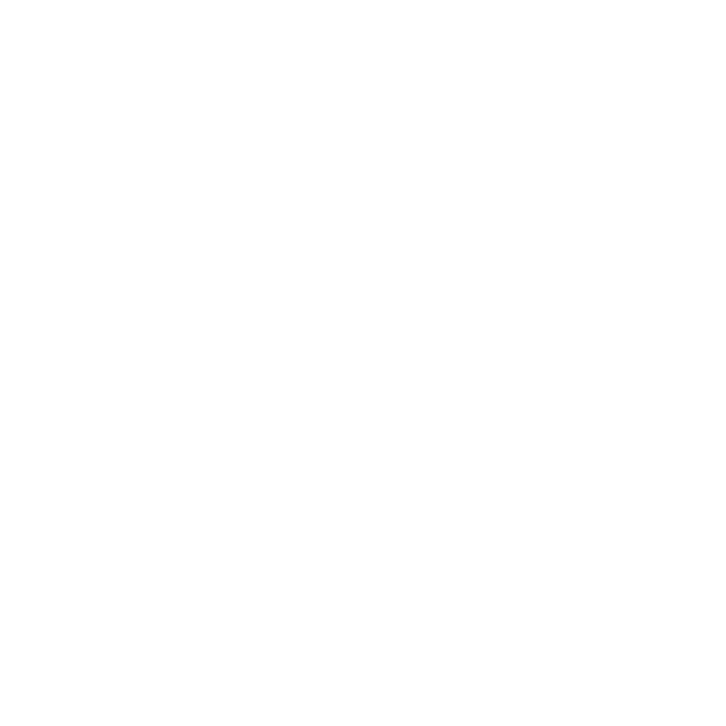 noon logo